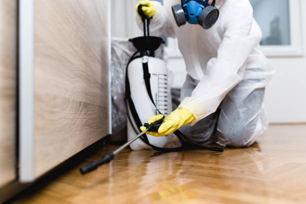 Best Best Pest Control Companies  in Oroville, CA