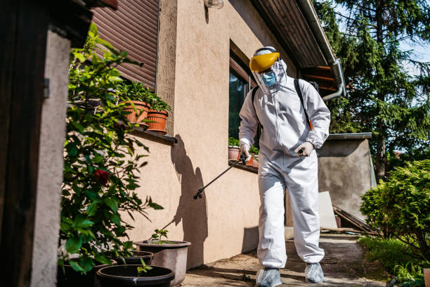 Best Mosquito Control Services  in Oroville, CA