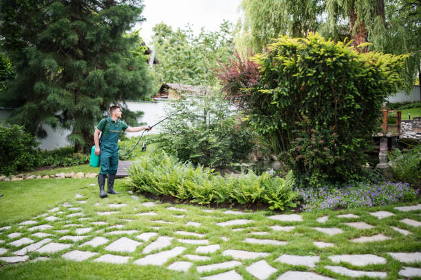  Oroville, CA Pest Control Pros