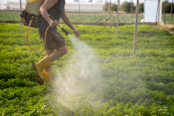 Best Pest Inspection Near Me  in Oroville, CA