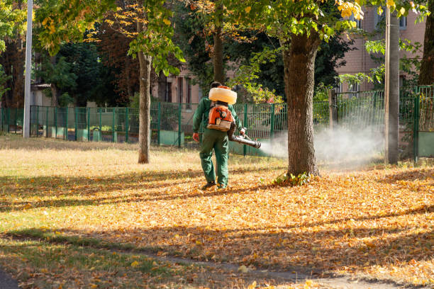 Best Pest Control for Businesses  in Oroville, CA