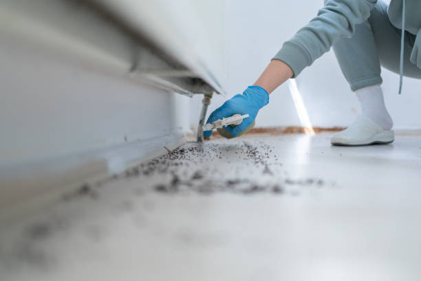 Pest Control Cost in Oroville, CA